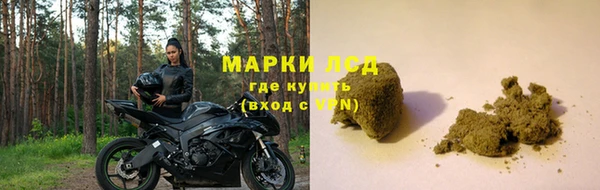 эйфоретик Гусь-Хрустальный