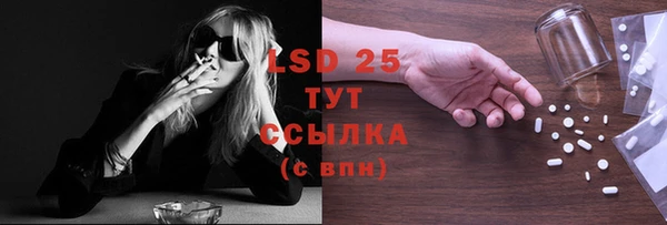 таблы Гусев