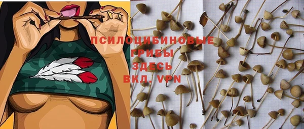 a pvp Абаза