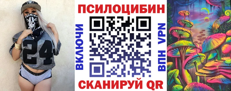 Псилоцибиновые грибы Psilocybe  купить   Сызрань 